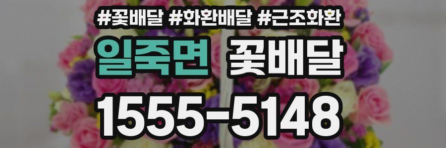 일죽면 꽃배달