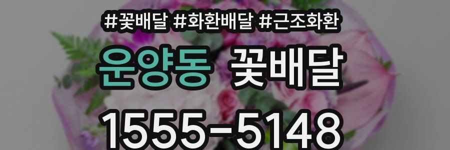 운양동 꽃배달
