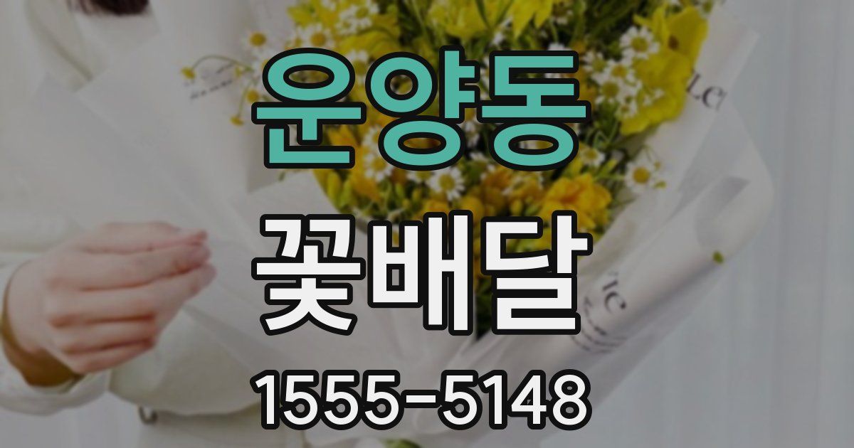 운양동 꽃배달