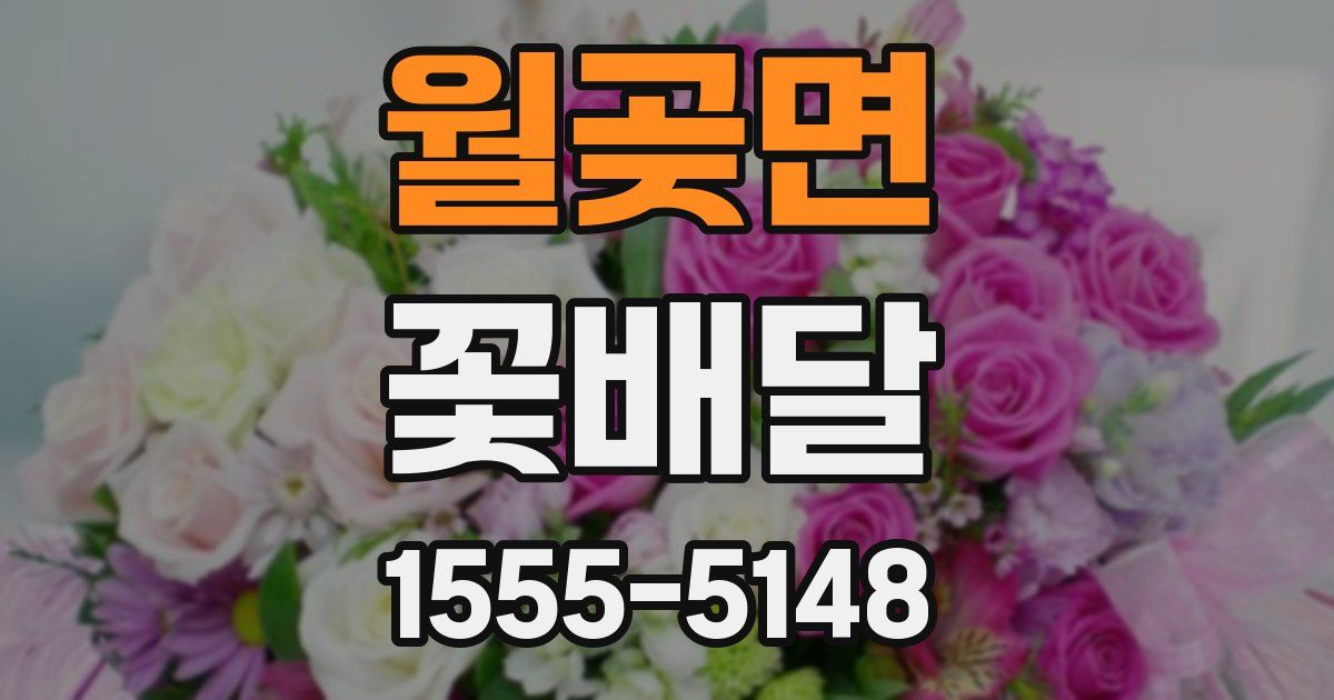 월곶면 꽃배달