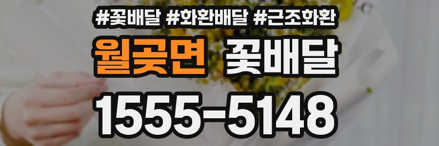 월곶면 꽃배달