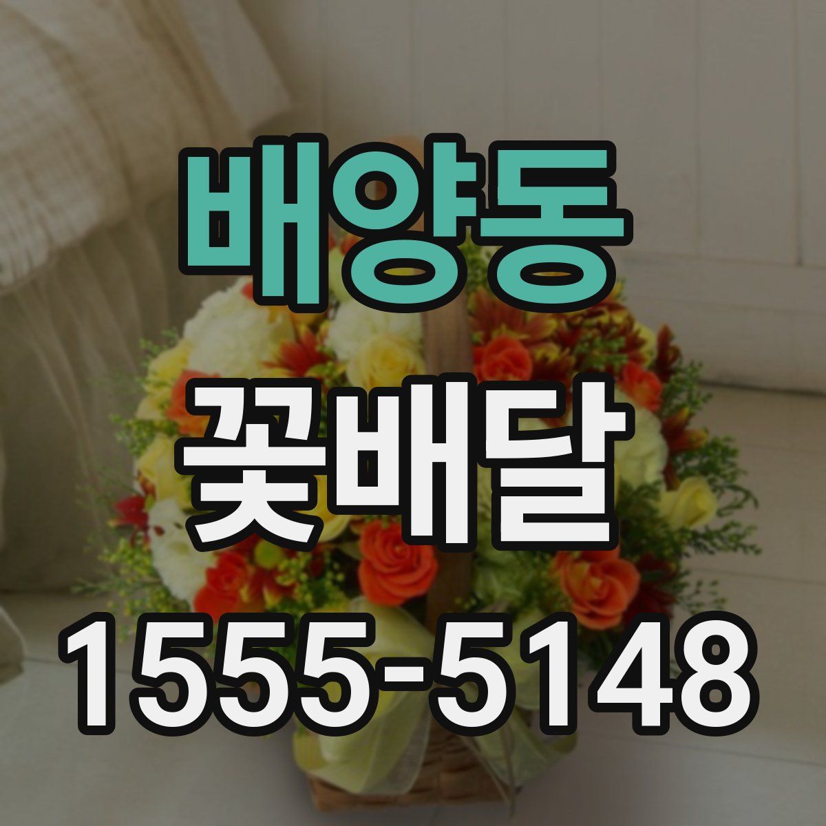 배양동 꽃배달