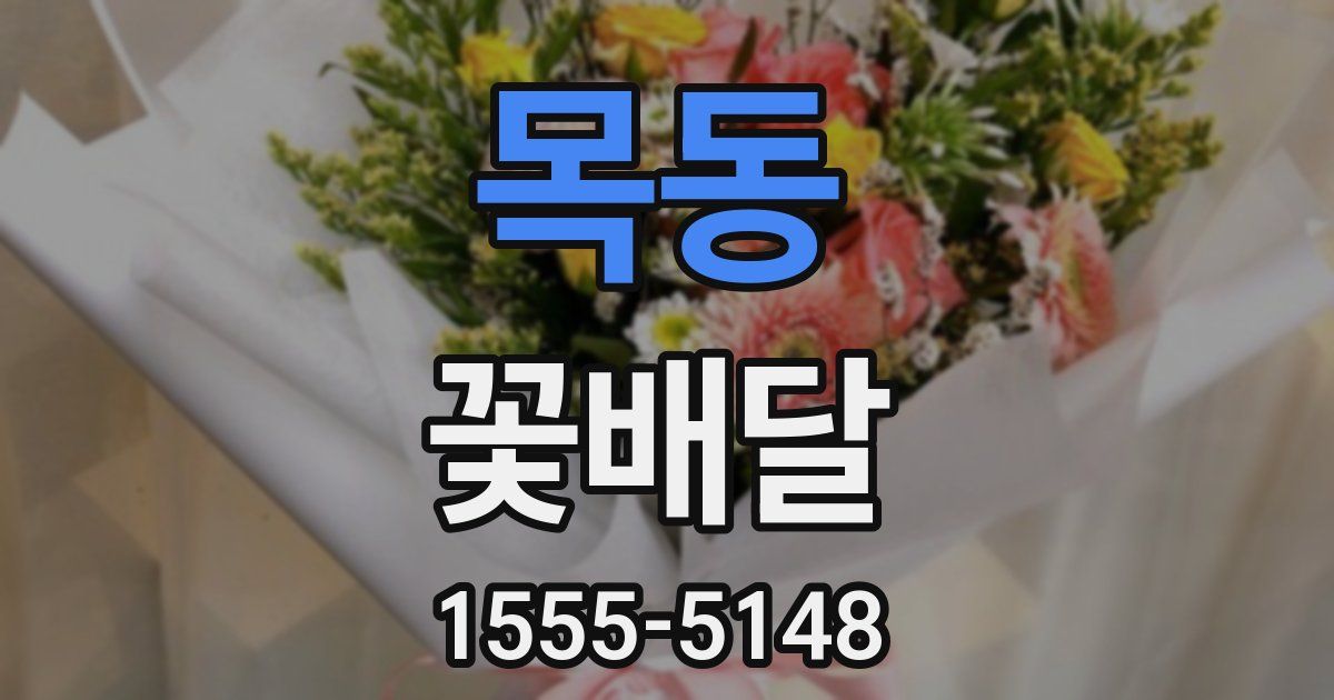 목동 꽃배달