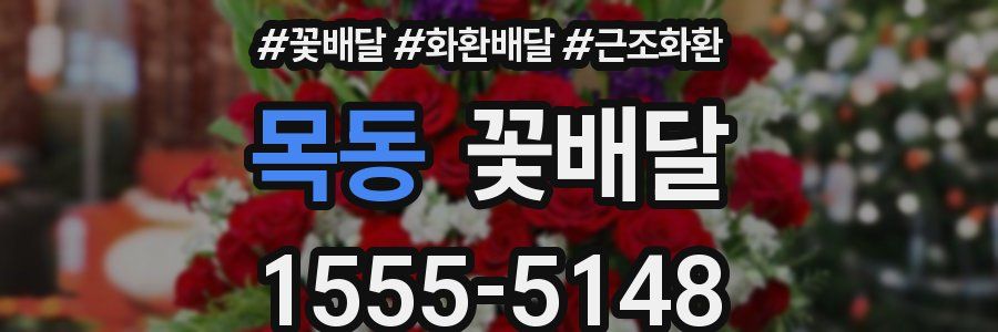 목동 꽃배달