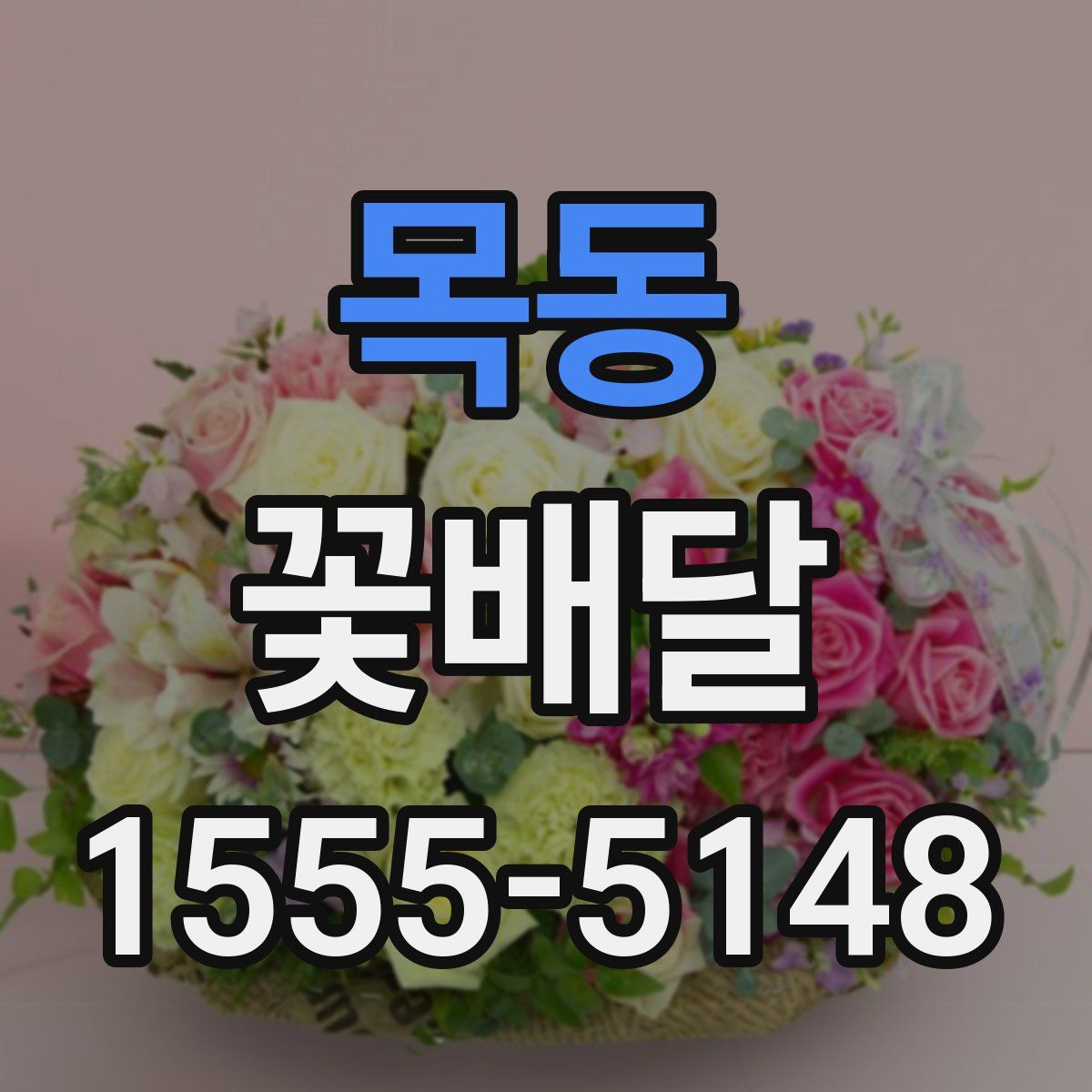 목동 꽃배달