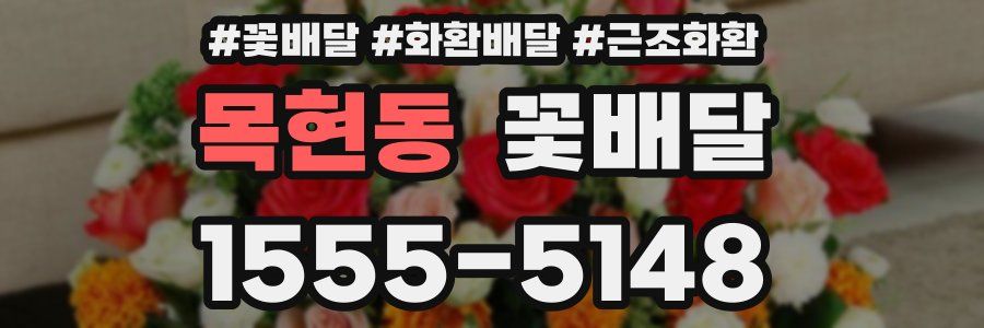 목현동 꽃배달