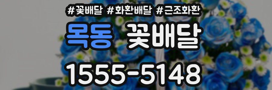 목동 꽃배달