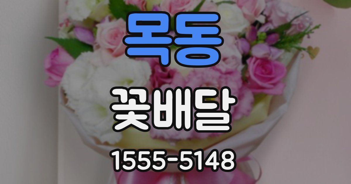 목동 꽃배달