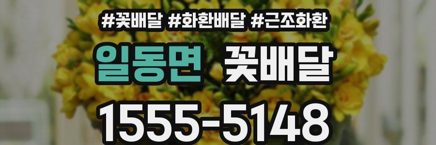 일동면 꽃배달