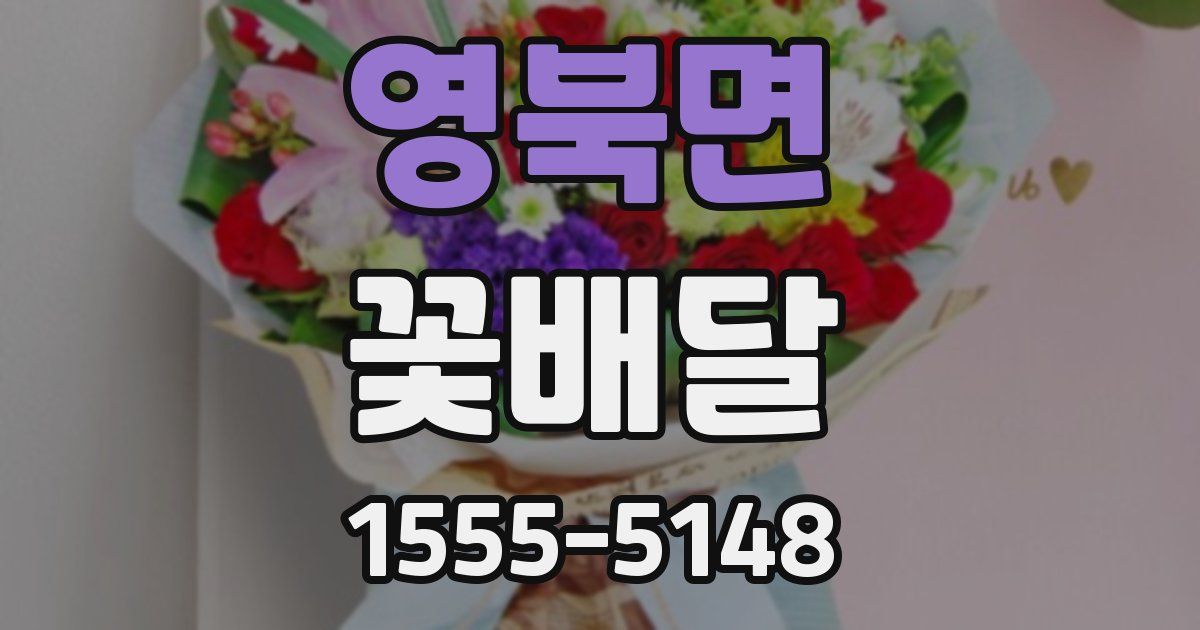 영북면 꽃배달