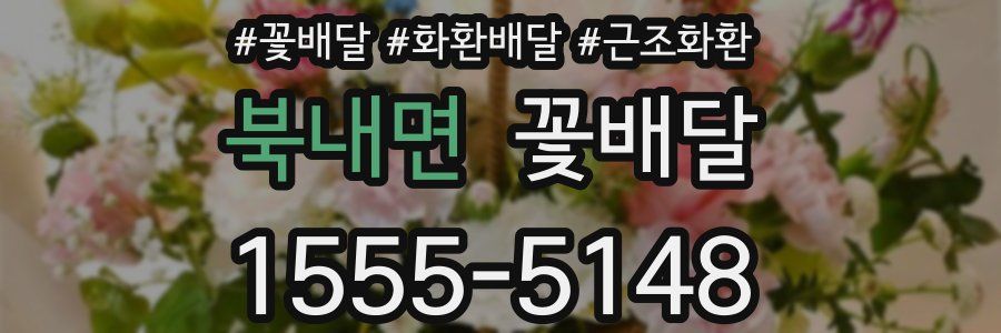 북내면 꽃배달