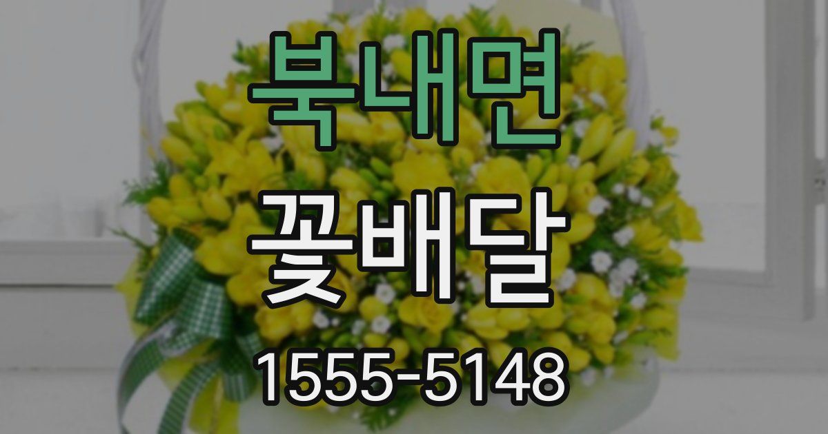 북내면 꽃배달