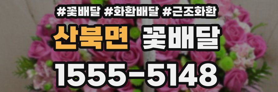 산북면 꽃배달
