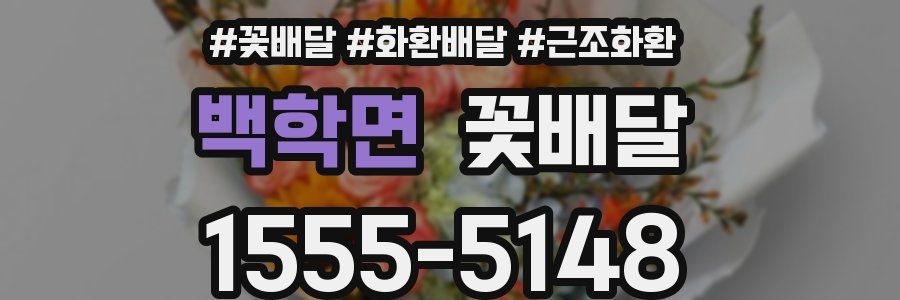 백학면 꽃배달