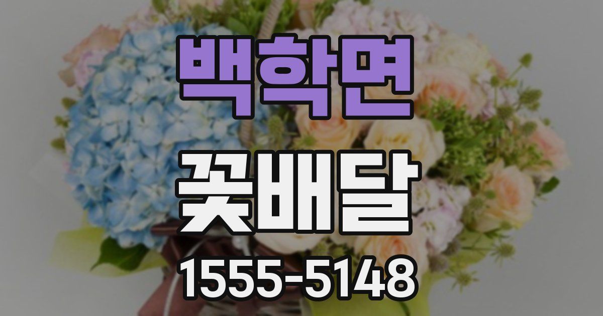 백학면 꽃배달