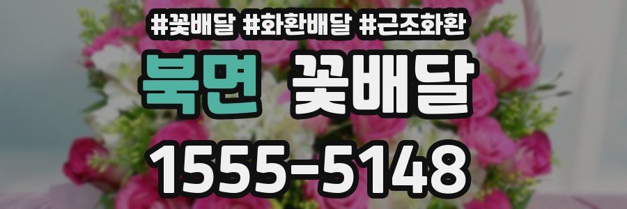 북면 꽃배달