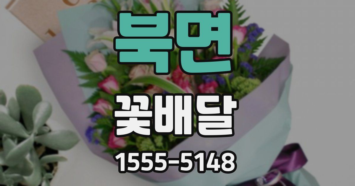 북면 꽃배달