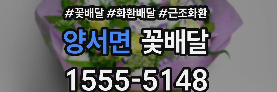 양서면 꽃배달