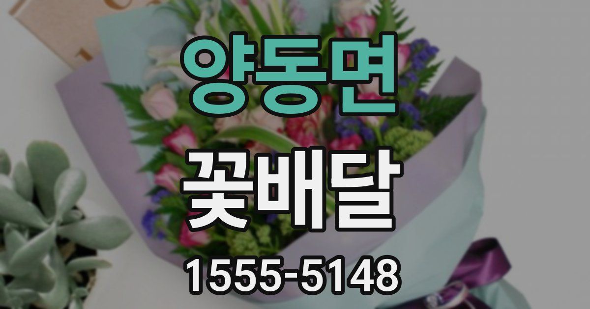 양동면 꽃배달