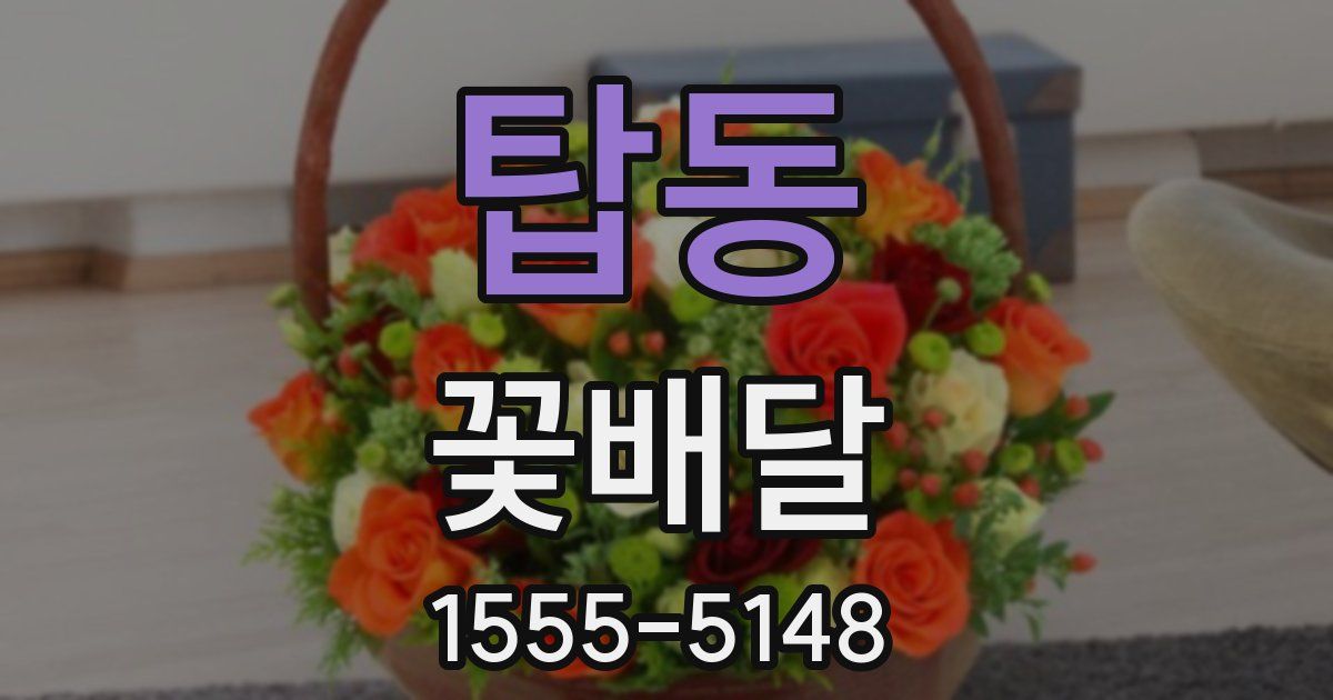 탑동 꽃배달