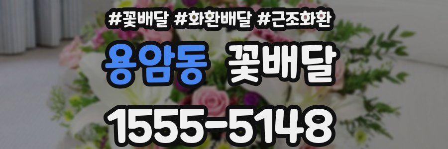 용암동 꽃배달