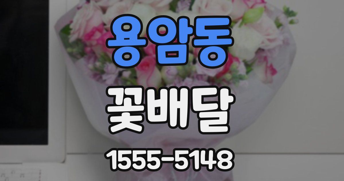 용암동 꽃배달