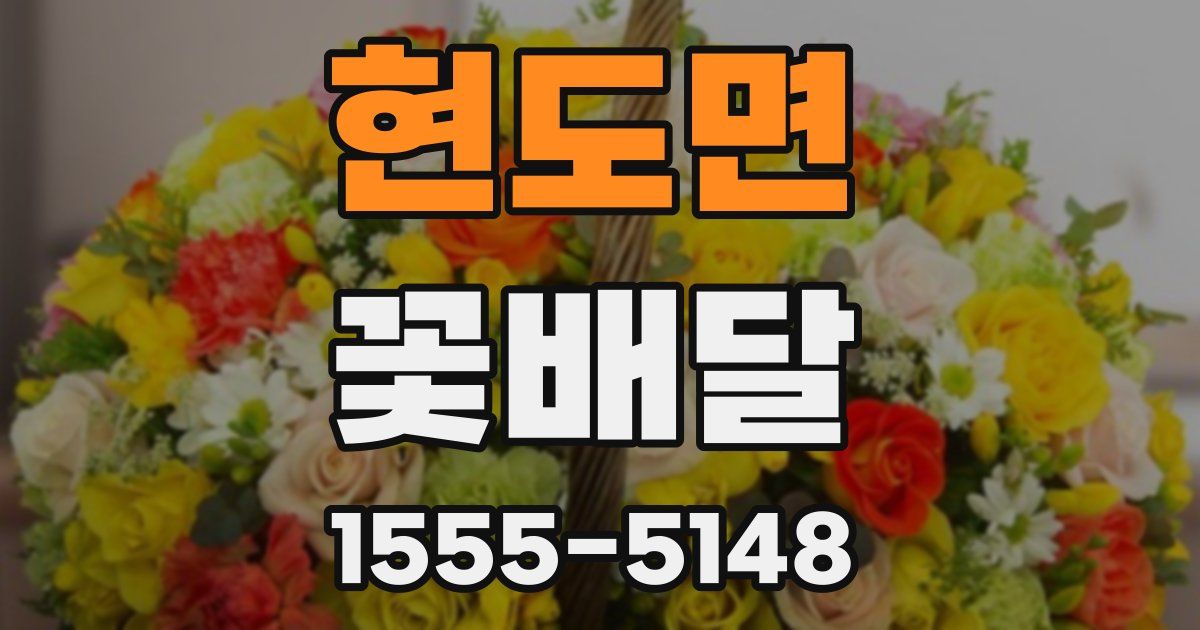 현도면 꽃배달