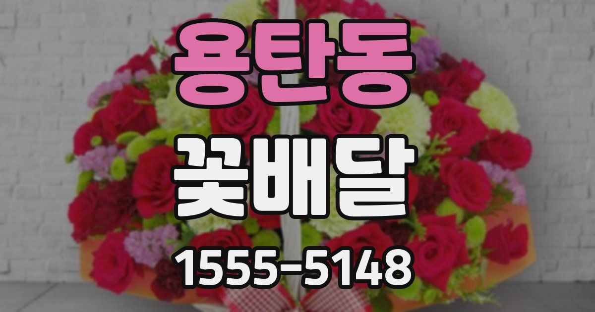 용탄동 꽃배달