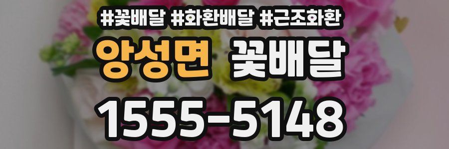 앙성면 꽃배달