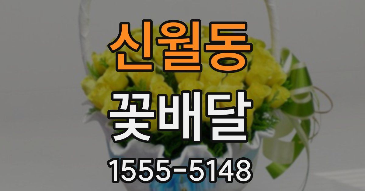 신월동 꽃배달