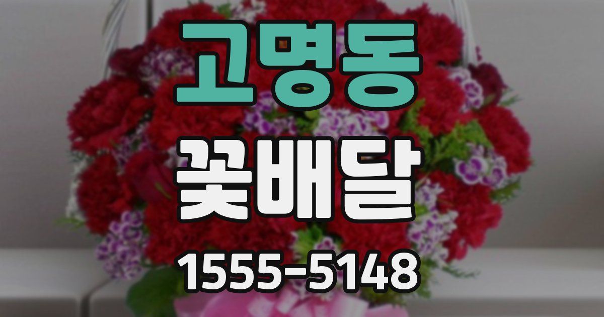 고명동 꽃배달