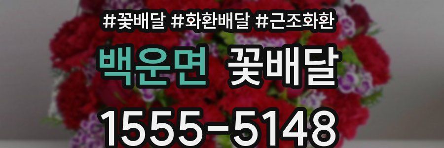 백운면 꽃배달