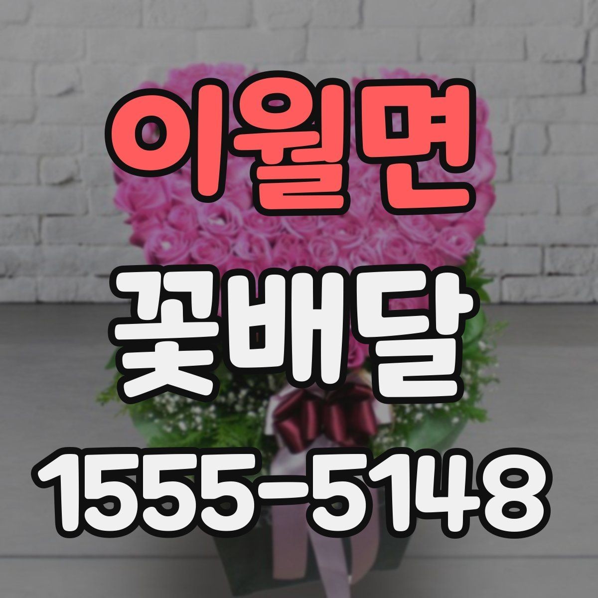 이월면 꽃배달 세련된 인상을 주는 색 배합