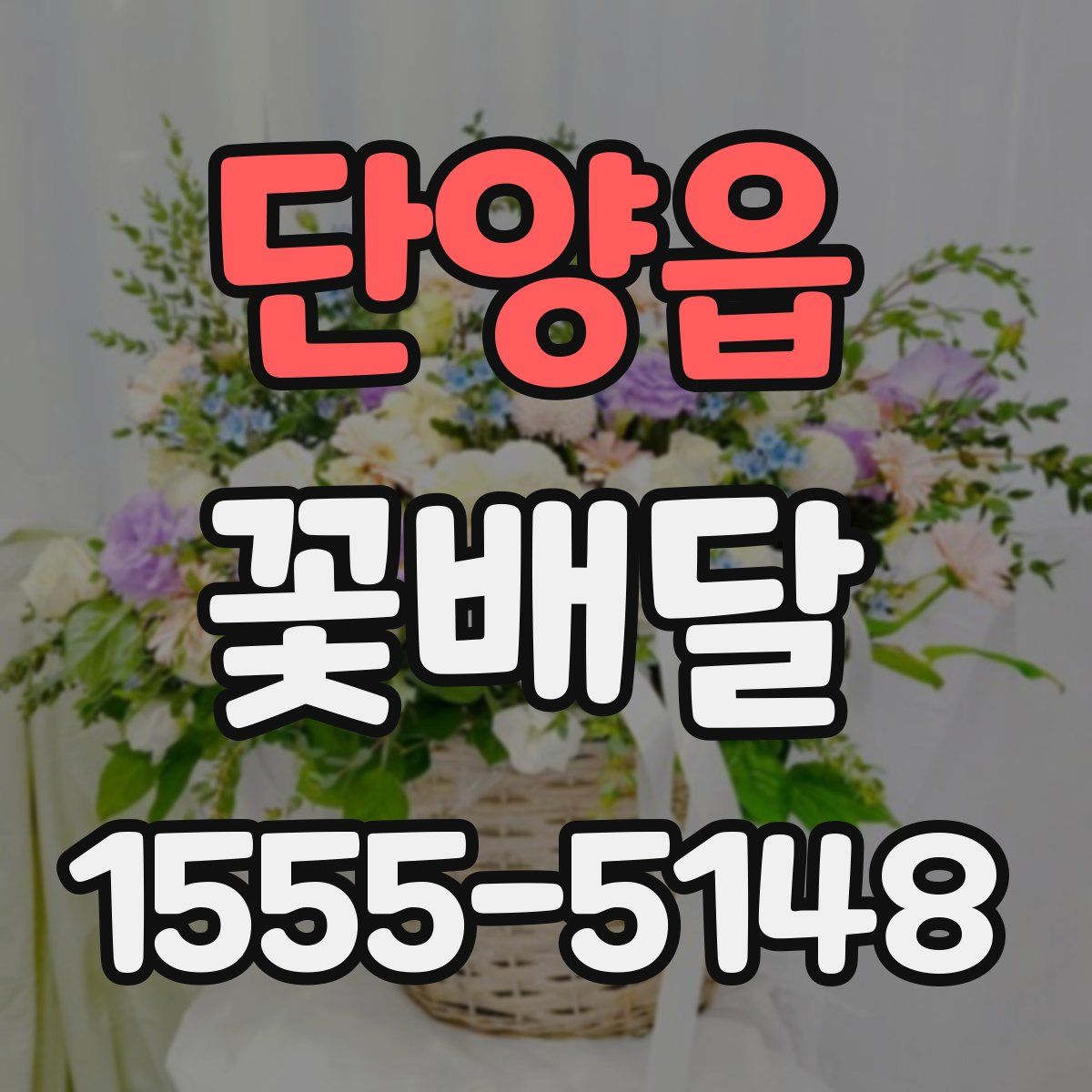 단양읍 꽃배달