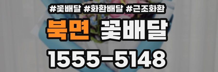 북면 꽃배달