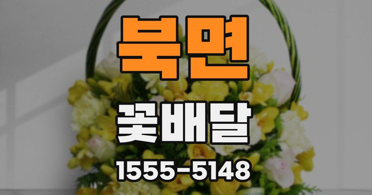 북면 꽃배달