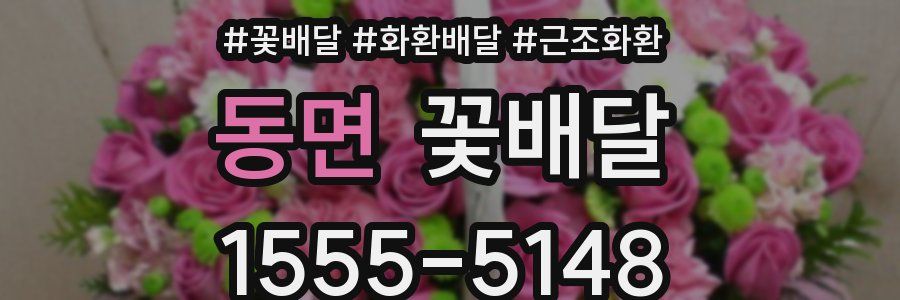 동면 꽃배달