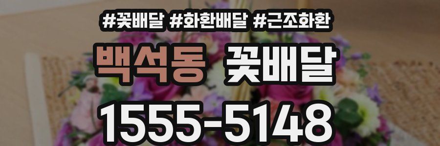 백석동 꽃배달