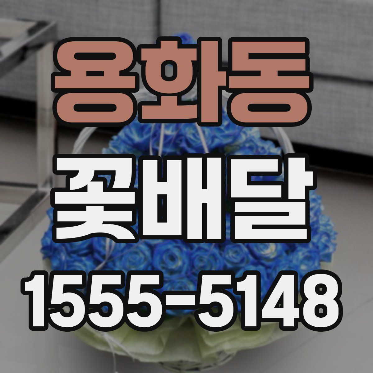 용화동 꽃배달