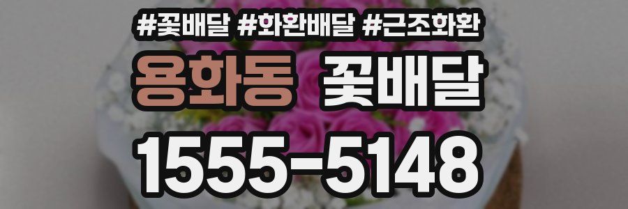 용화동 꽃배달