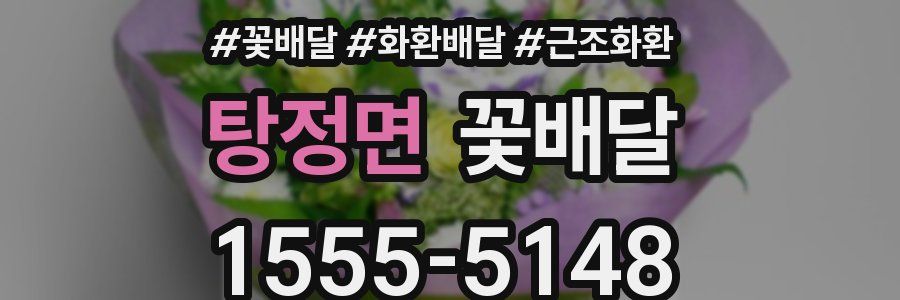 탕정면 꽃배달