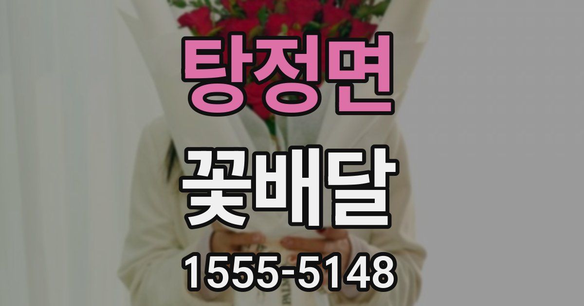 탕정면 꽃배달