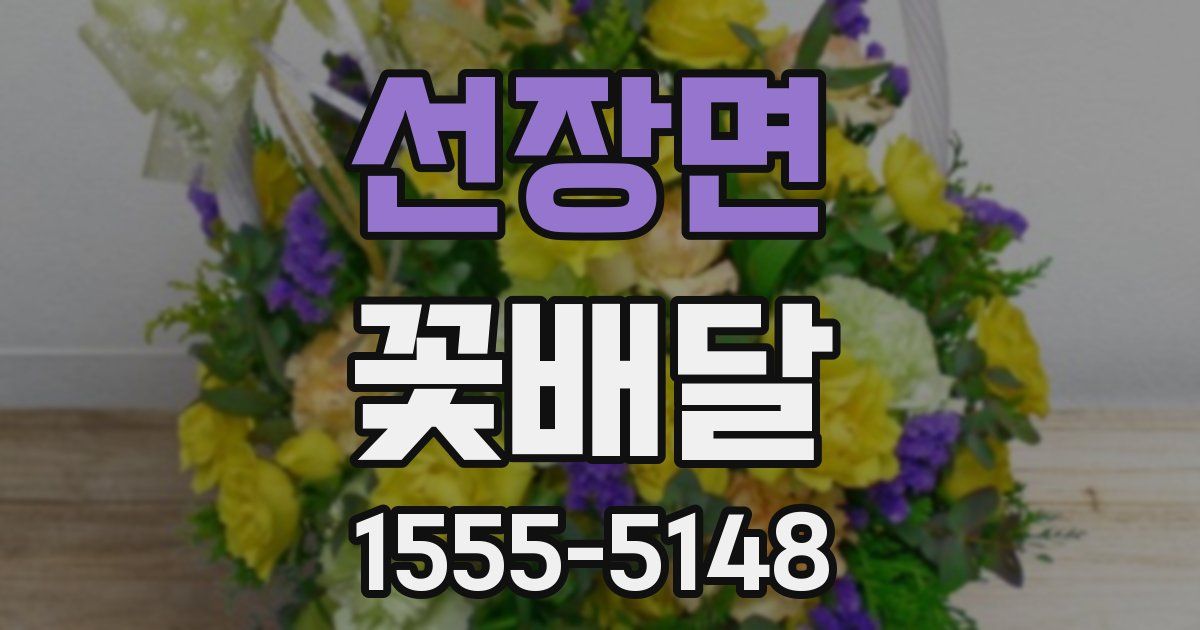 선장면 꽃배달