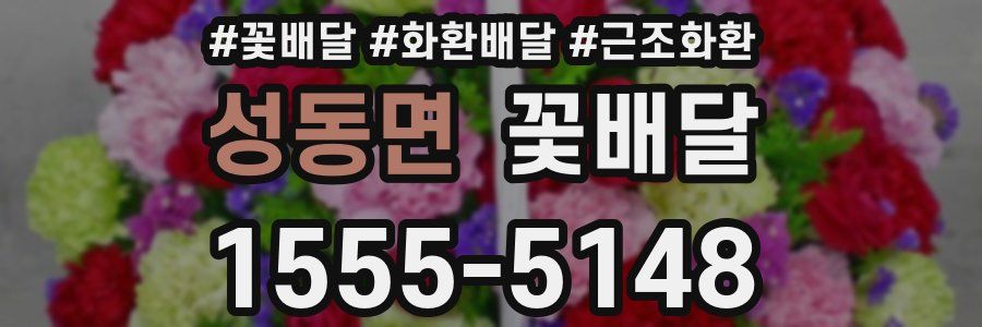 성동면 꽃배달