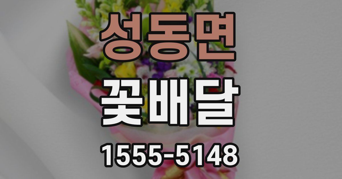 성동면 꽃배달