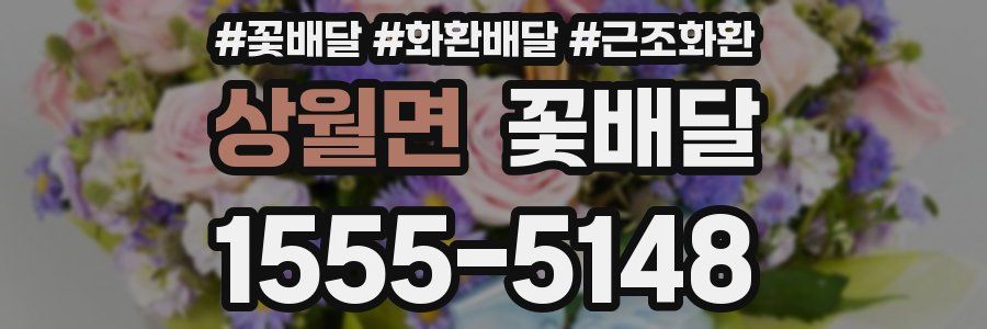 상월면 꽃배달