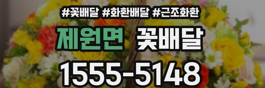 제원면 꽃배달