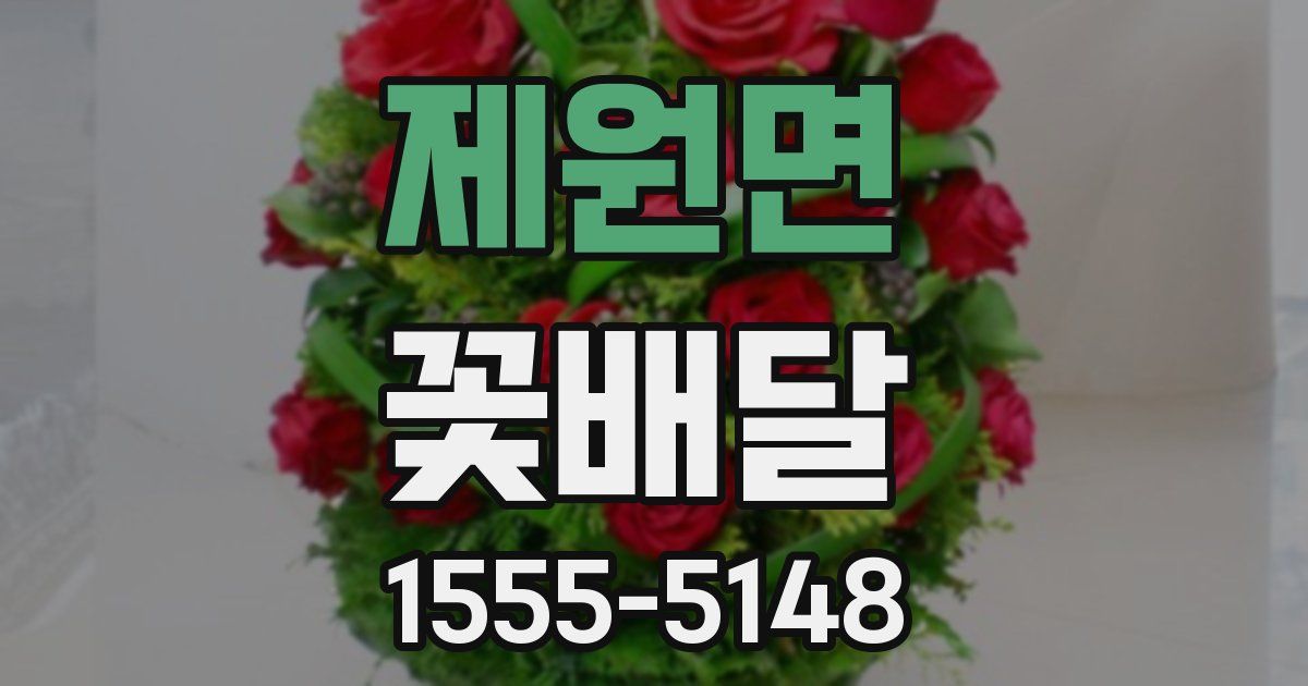 제원면 꽃배달