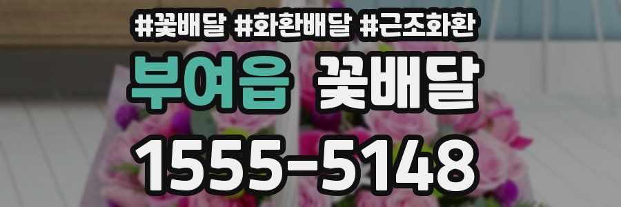 부여읍 꽃배달