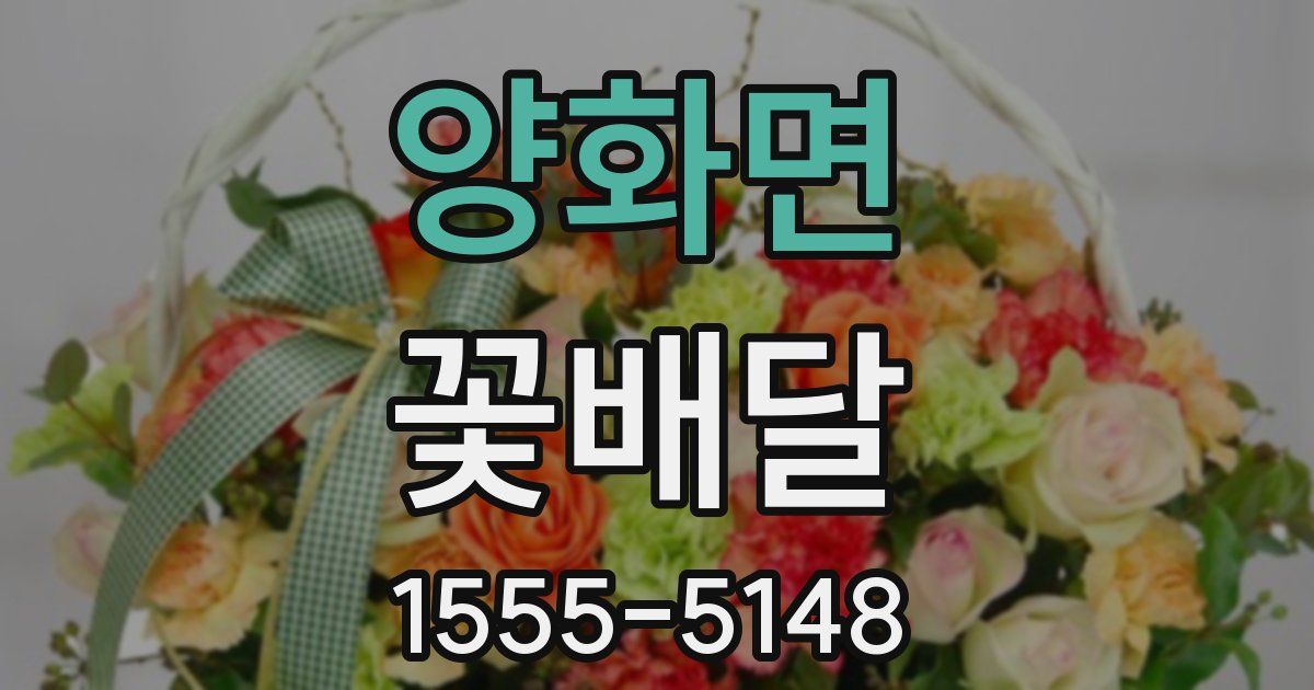 양화면 꽃배달